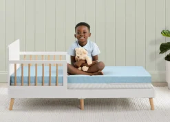 Crib Mattresses|Crib Mattresses*Delta Children Ionic Breathe Crib and Toddler Mattress with Cloud Core No Color (NO)